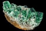 Fluorescent, Green Fluorite Crystals - Rogerley Mine #106107-1